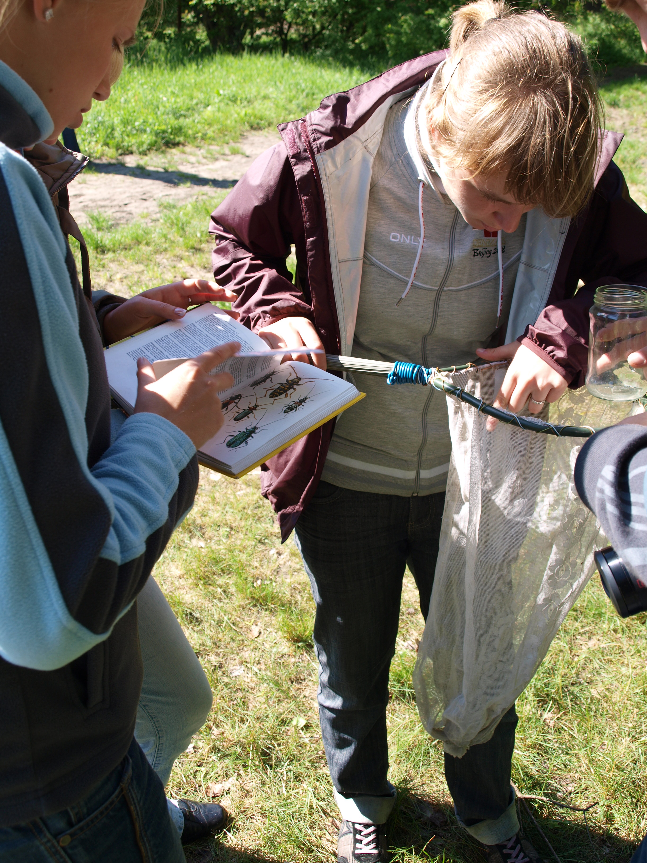 Zajęcia z entomologii Zajęcia z entomologii